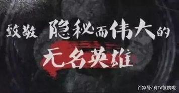 爆料大案三集视频,惊心动魄的侦查历程